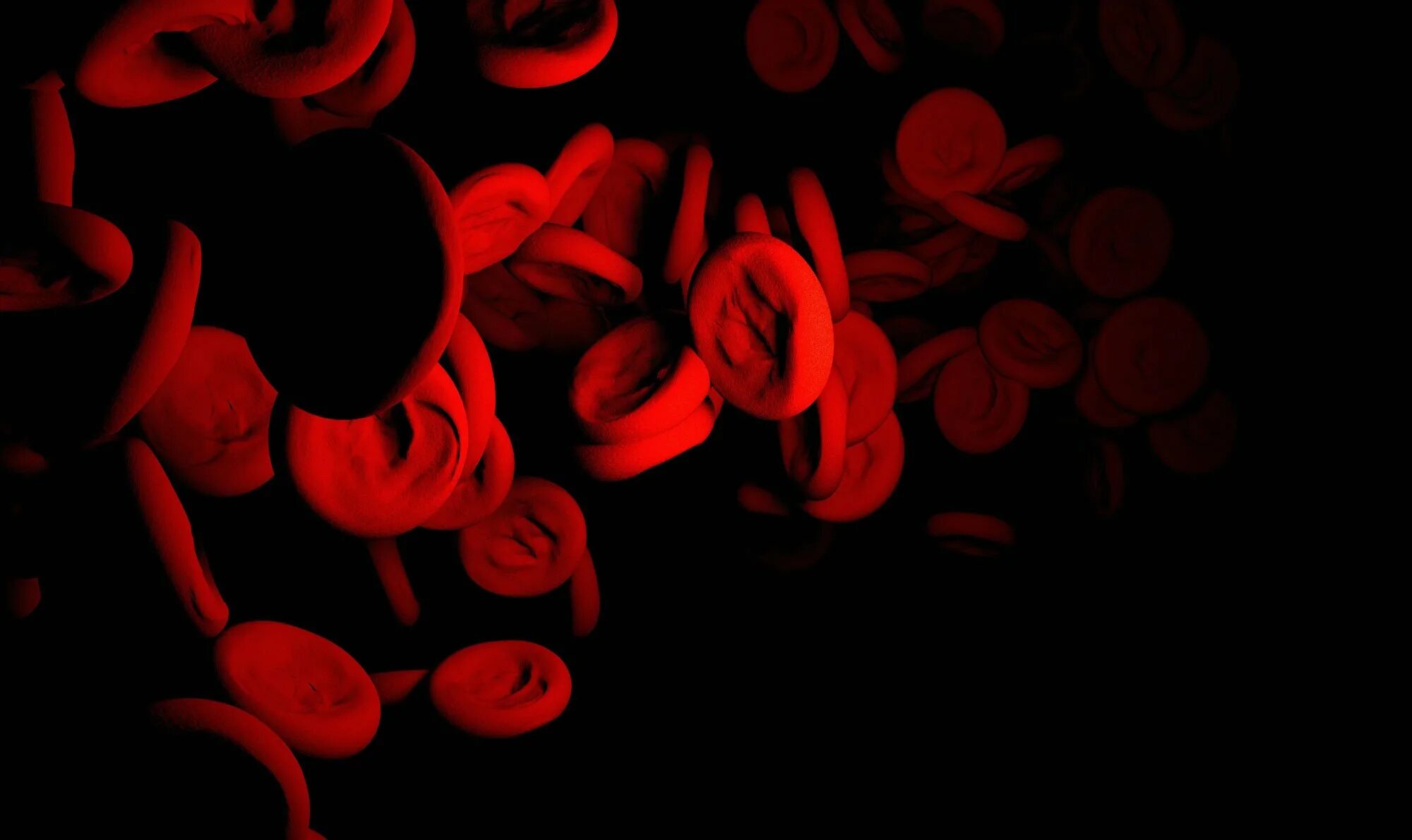 Фон эритроциты. Эритроциты на черном фоне. клетки крови на черном фоне. кровяные клетки. красные клетки крови.