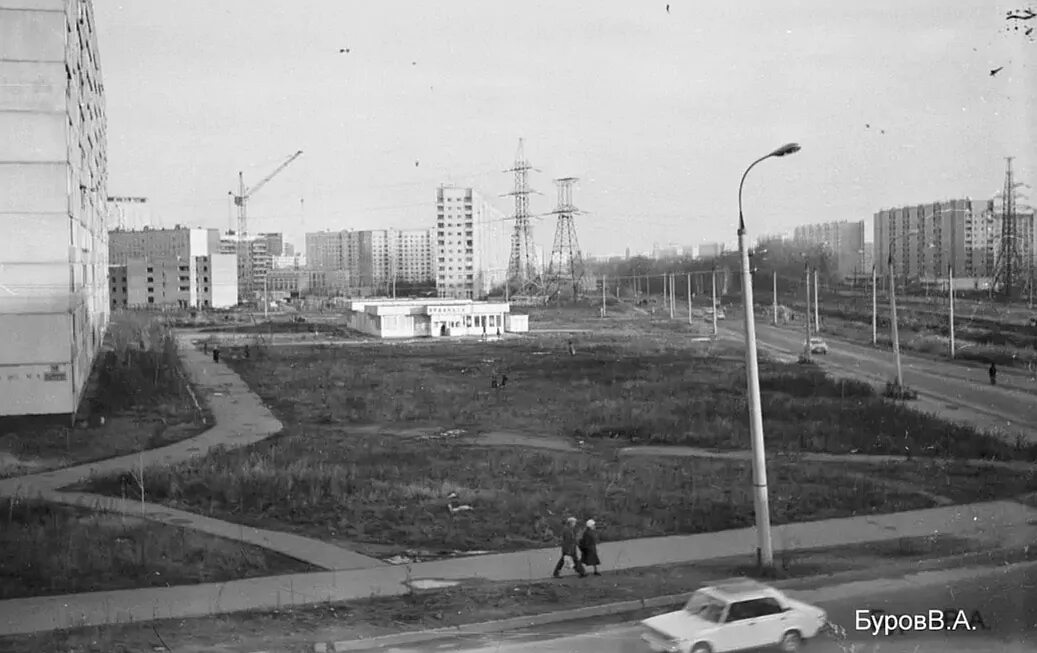 Отрадное москва 19 век. Березовая аллея. Фото старого отрадного. Деревня отрадное москва. Бескудниковская железная дорога.