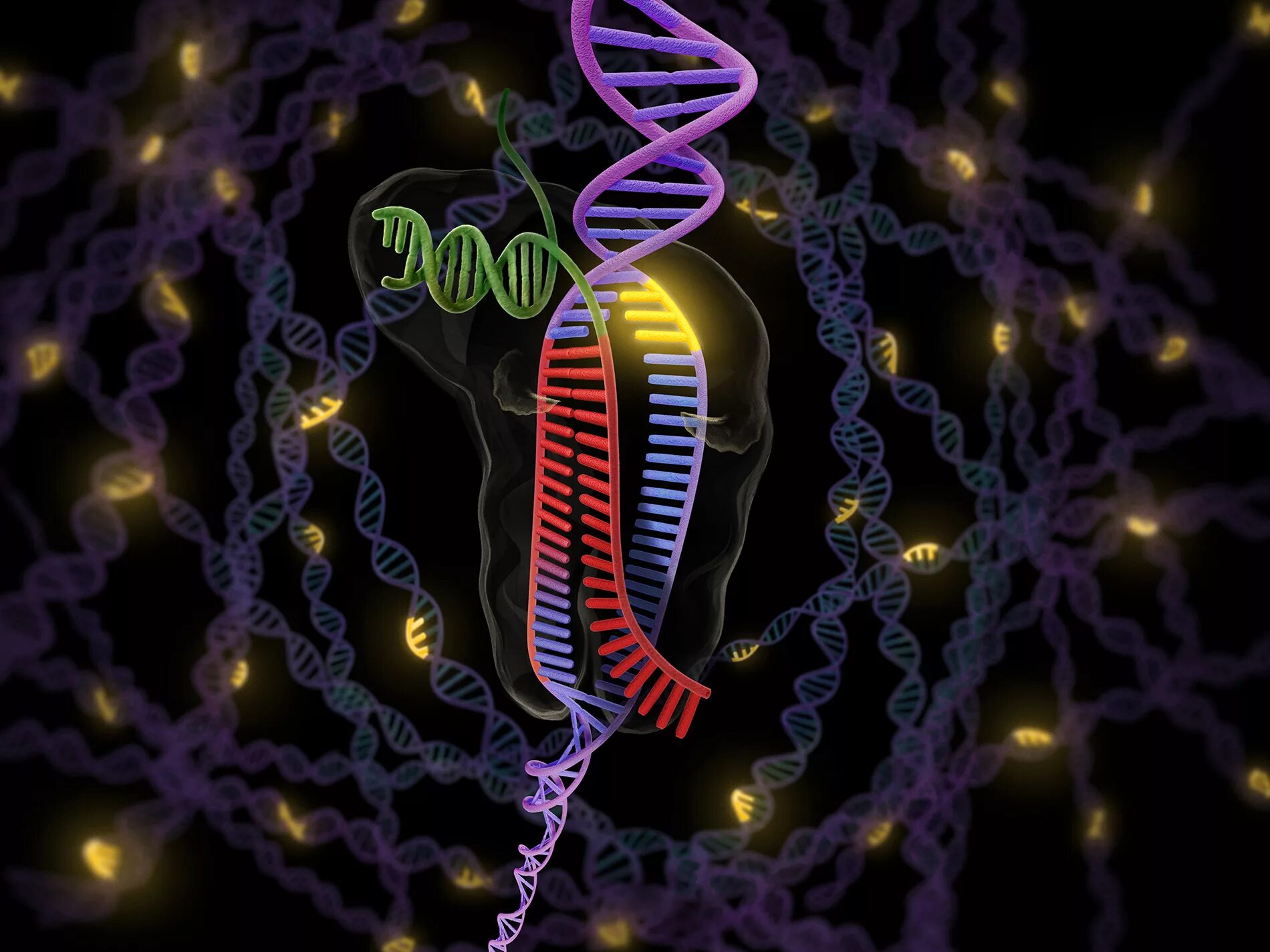 Без ген. Днк crispr. генетика crispr. биотехнология crispr cas. crispr ученые.