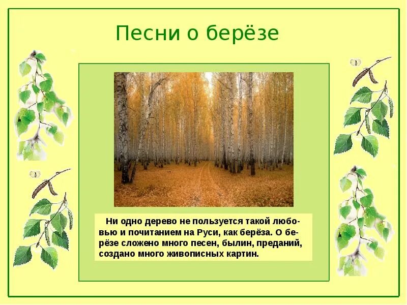 Детские песни о березках. Песни про березу. Песня про березу. Березы русский народный. Русские народные песни про березу.