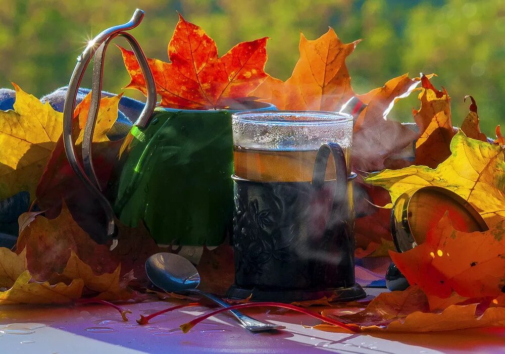 Помню я эту осень отлично дополнение. С осенью тебя. Красивое дождливое осеннее утро. Осенние раздумья. Тепла и уюта в этот осенний день.