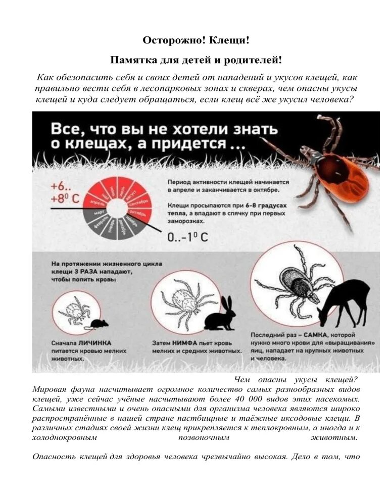 Зачем нужны клещи. Осторожно клещи памятка для родителей. Задание про клещей для детей.