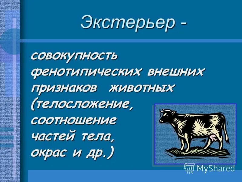Селекция животных экстерьер. Методы оценки животных по экстерьеру. методы оценки экстерьера сельскохозяйственных животных. экстерьер животных. отбор по экстерьеру.