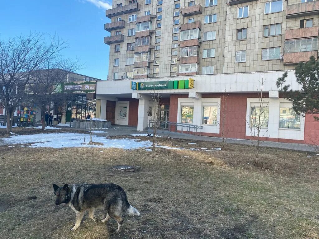 Первостроителей 15 комсомольск на амуре. Первостроителей 15 комсомольск-на-амуре совкомбанк. Проспект первостроителей комсомольск-на-амуре. Комсомольск на амуре пр первостроителей 15. Красногвардейская 15 комсомольск-на-амуре.