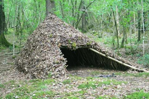 Survival shelter