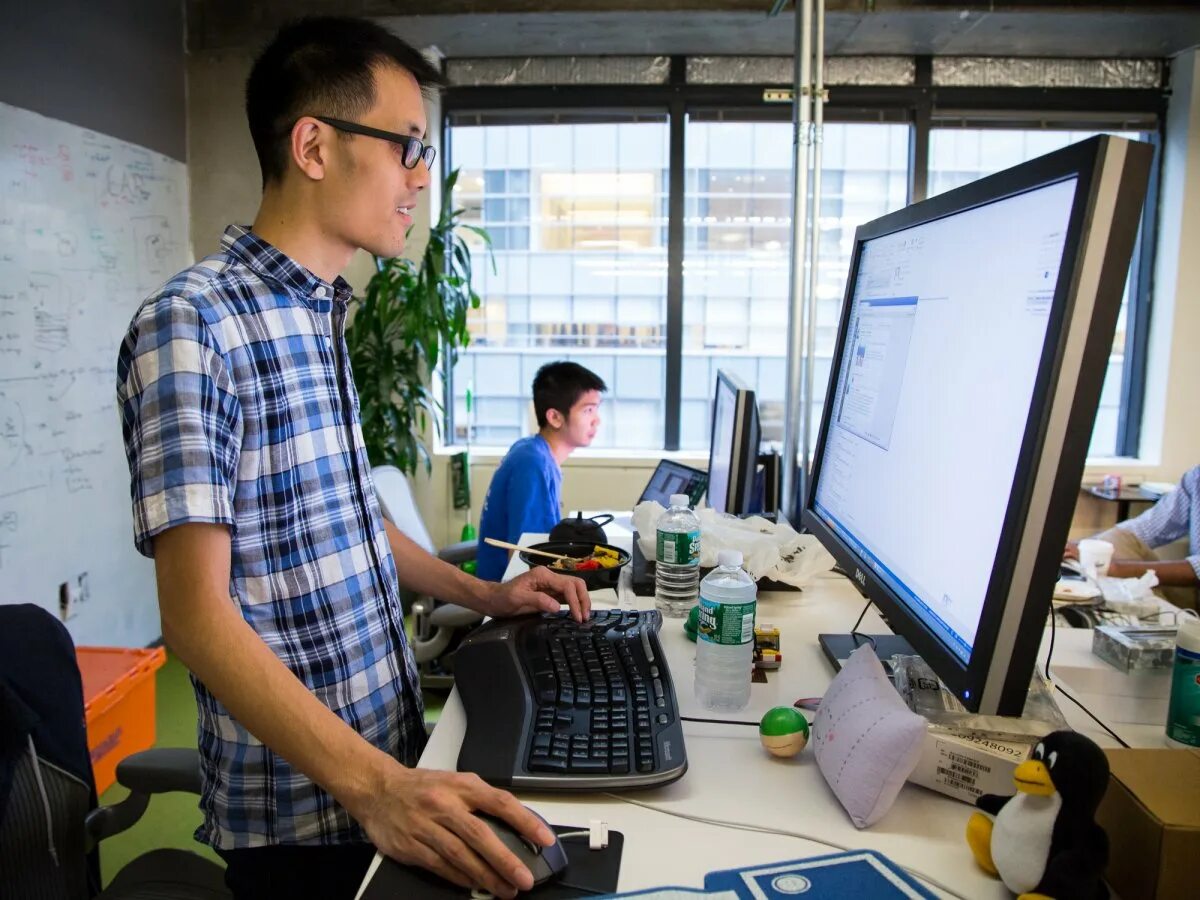 Engineer programmer