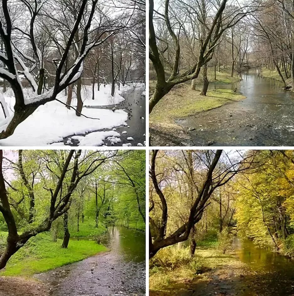 Поры годы польский. Пейзаж времена года. Пейзаж в Разное время года. Поры года.