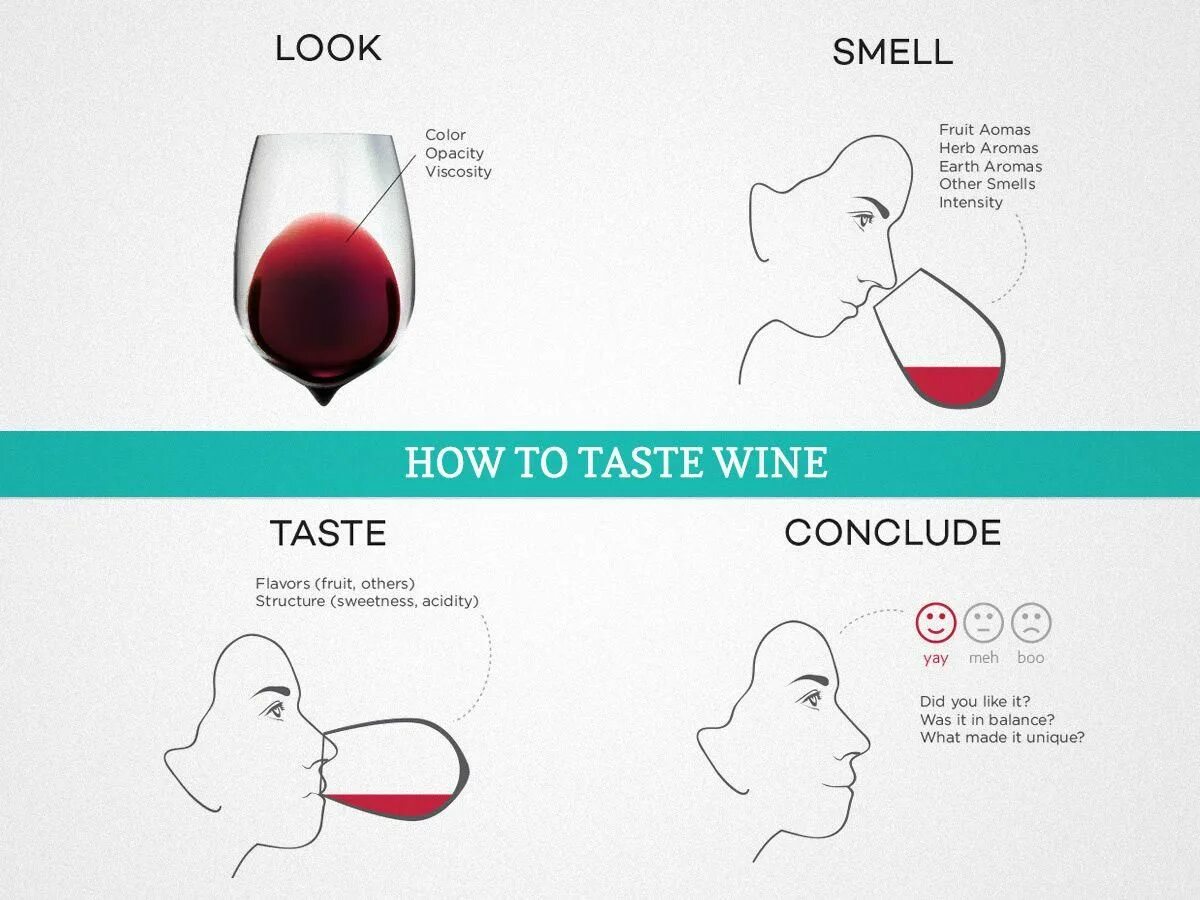 Wine github. Вино taste. интересные варианты дегустации вина. как дегустировать вино. how to wine tasting.