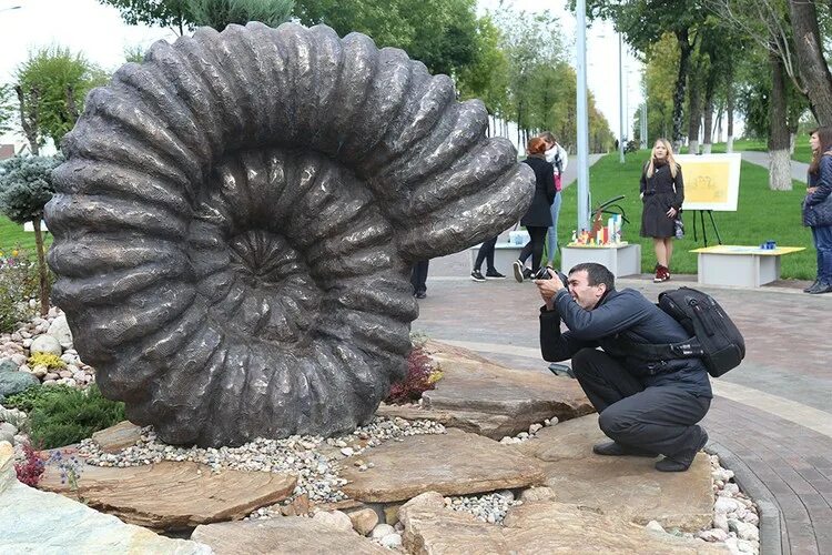 Аммонит Самара. Памятник аммониту. Ракушка загородный парк. Памятник улице самый большой Аммонит. Ракушки парк