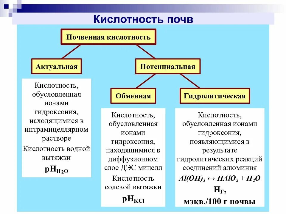 Типы кислотности