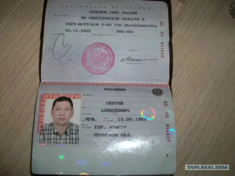 Паспорт рф. Сканы паспортных данных. Данные паспорта рф. Ксерокопия паспорта. Данные паспорта.