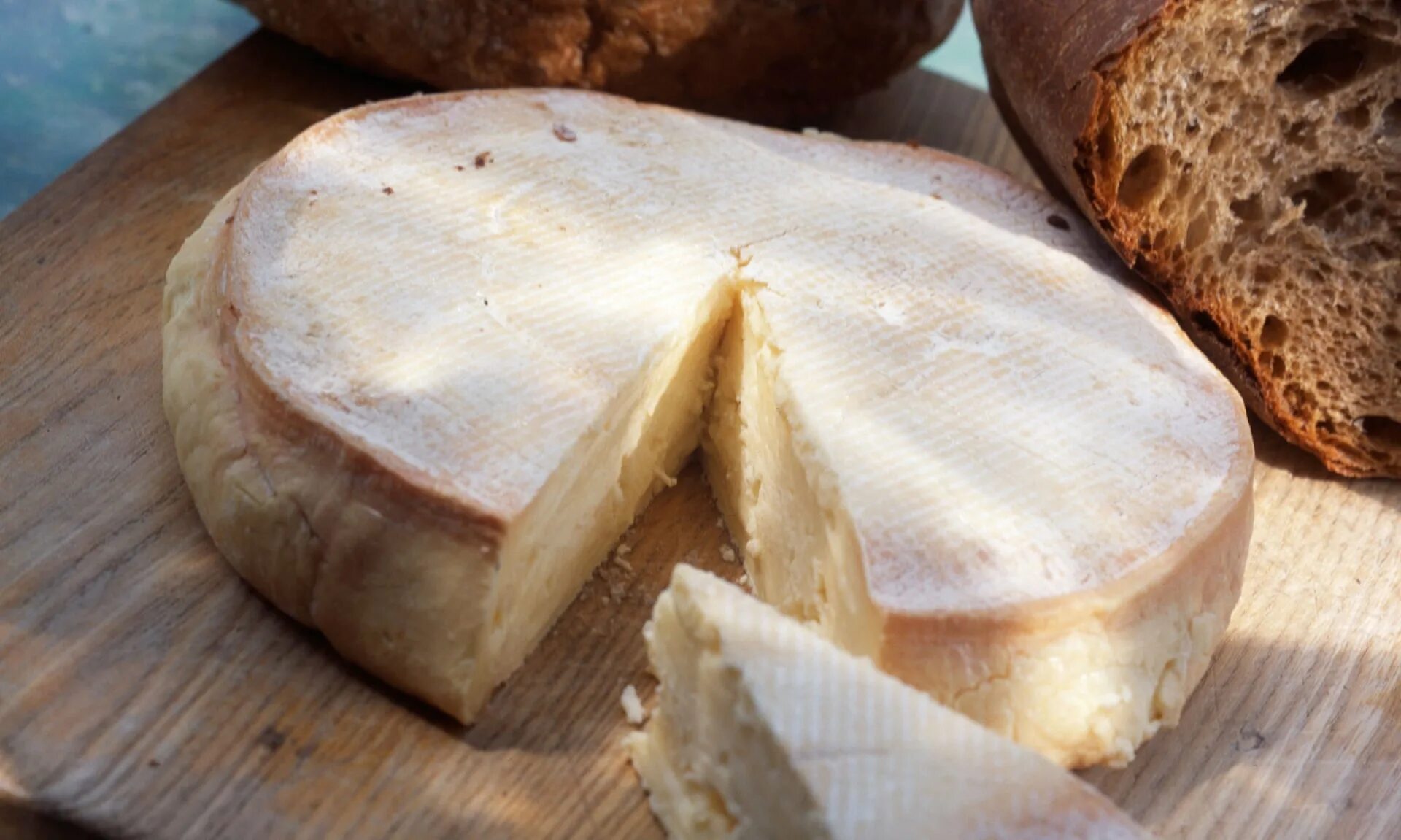 Сыр в который макают. Головка сыра. французский сыр. сыры франции. сыр во франции.