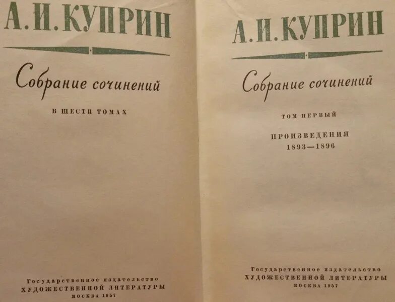 Куприн рецензия. Блаженный Куприн. Отзыв о Куприне. Блаженный рассказ Куприна. Блаженный Куприн читать.