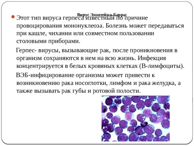 Эпштейн барр в слюне