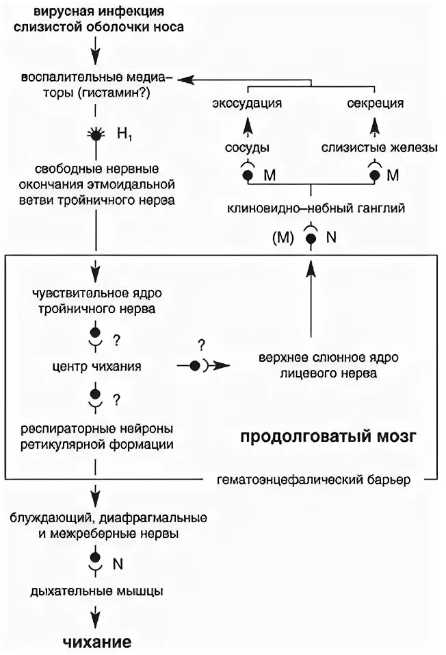 Антигистаминные при орви