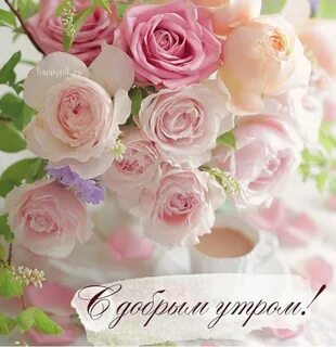 Нежные картинки с надписями и пожеланиями