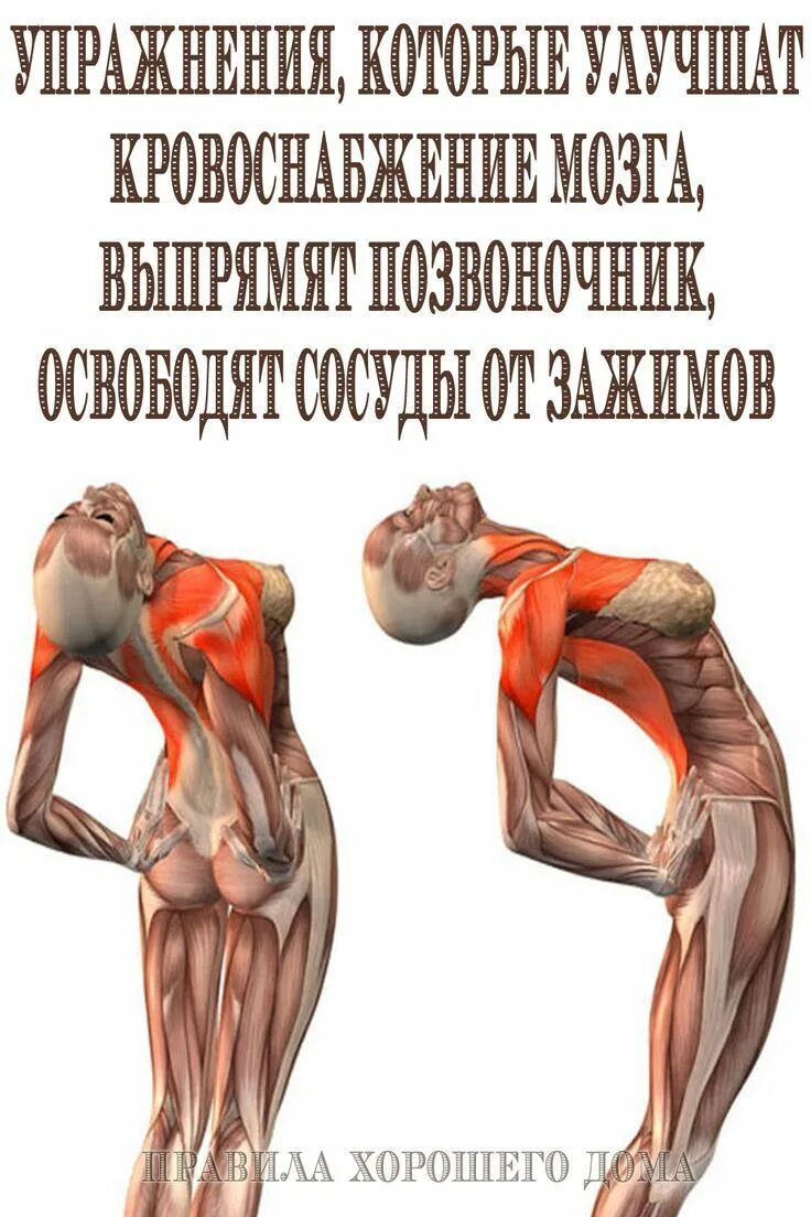 Как увеличить циркуляцию