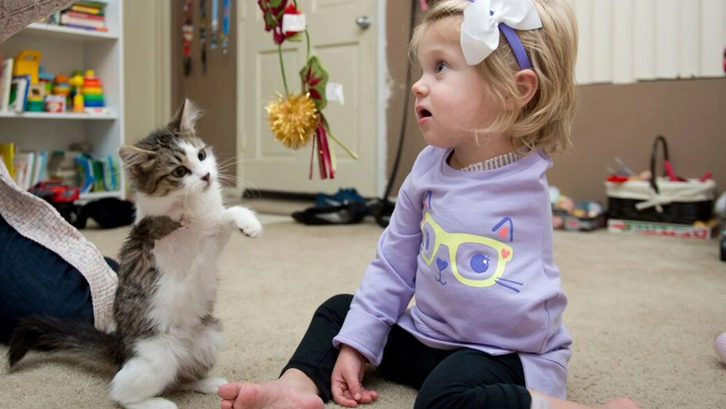 3 girls 1 kitten. Синамон nekopara. 3 girls 1 kitten. Маленькие дети и животные. Инвалиды ребенок с кошкой.