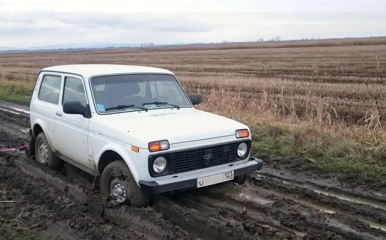 Сдт нива киров. Ваз 2121 1976. Киров авито авто нива. Нива киров. Нива в кирове.