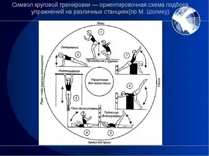 Круговая тренировка на уроках физической культуры
