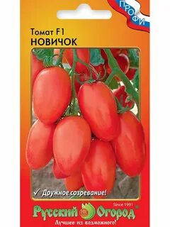 Томат новичок характеристика