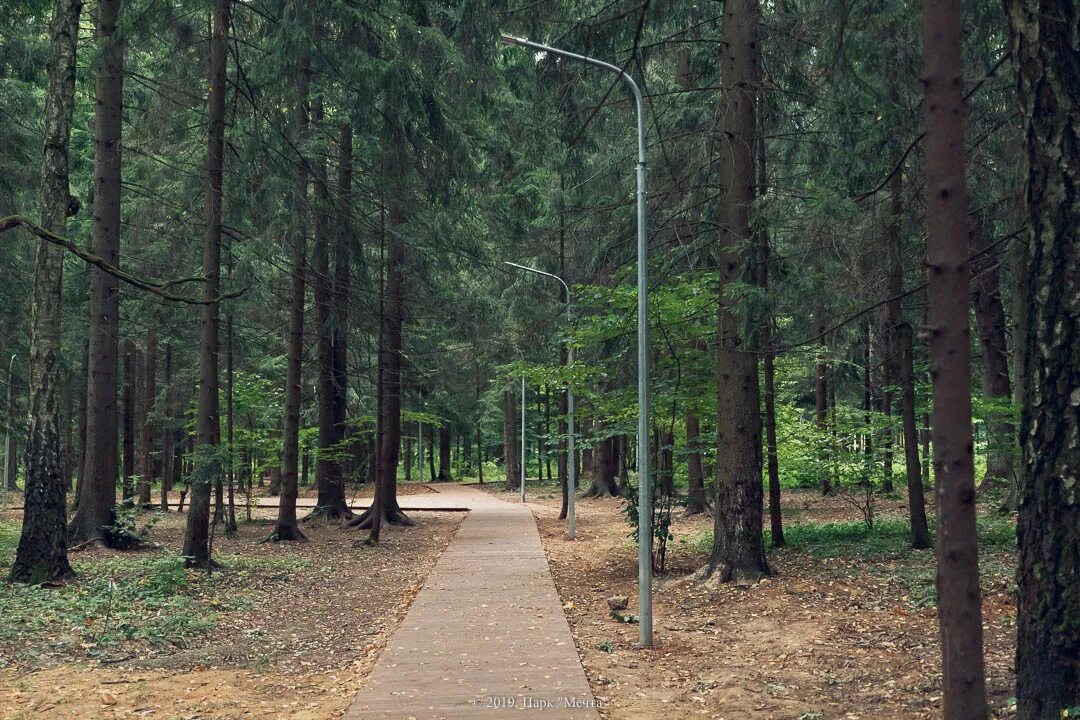 Парк в селятино московская область. Парк в селятино московская область. Тропа здоровья селятино. Парк мечта селятино зона отдыха. Барбекю парк селятино.
