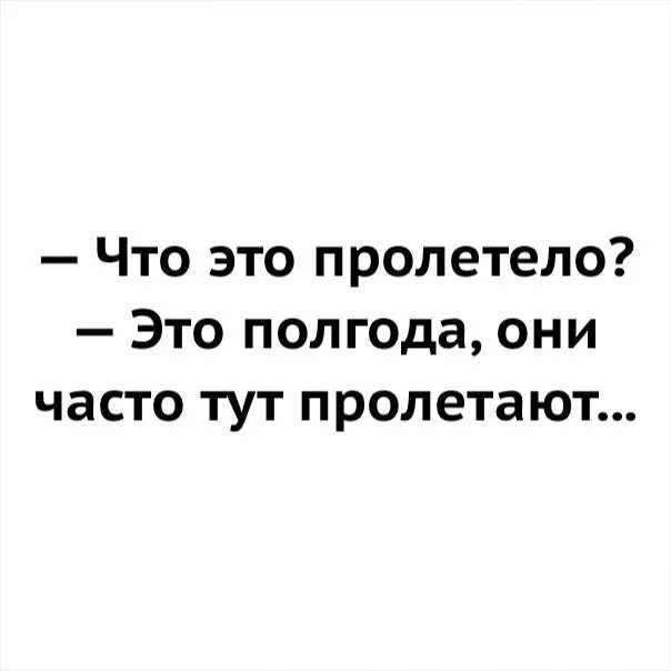 По утрам пролетает тут и там. Что это пролетело. Что это пролетело полгода. А что это пролетело это полгода они. Что это пролетело это полгода они часто тут пролетают.