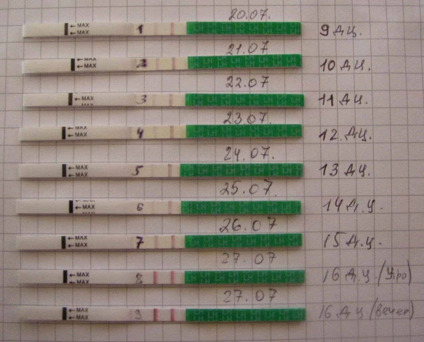 Через сколько дней можно забеременеть после овуляции. Тест на овуляцию. Овуляция тесты на овуляцию. Как выглядит тест на овуляцию. Тесты на овуляцию по дням.