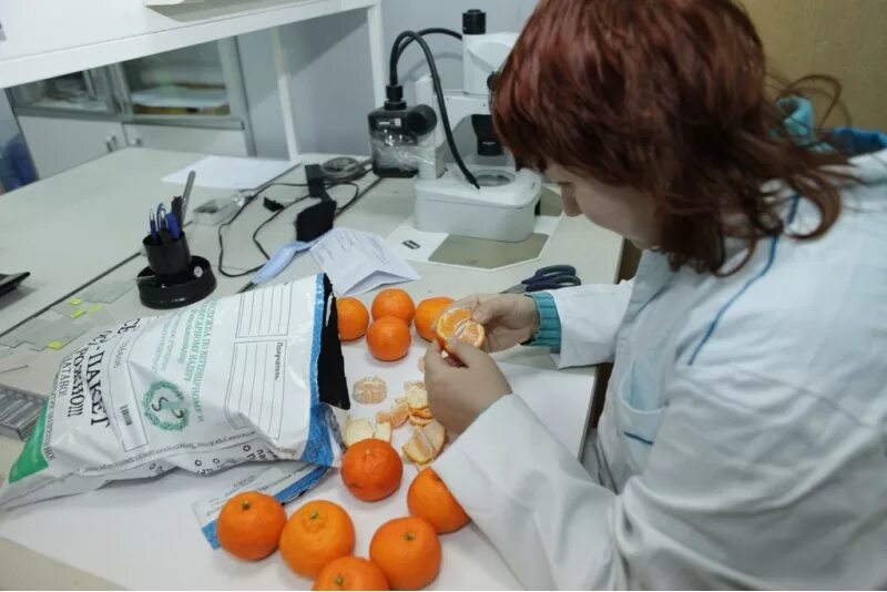 отбор пищевых продуктов