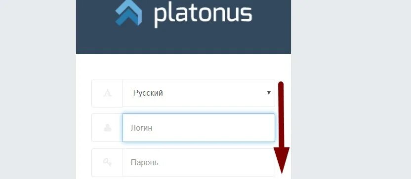 Платонус кгу шокан. Платонус. Платонус КГУ. Платонус ага. Платонус животное.