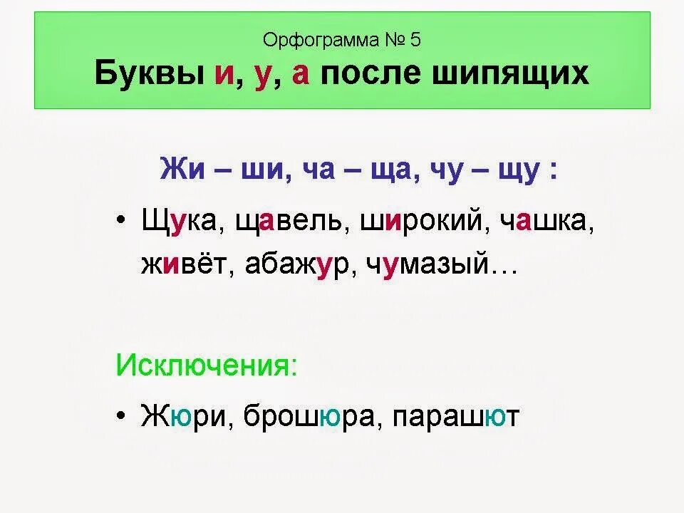 Орфограмма слова жизни