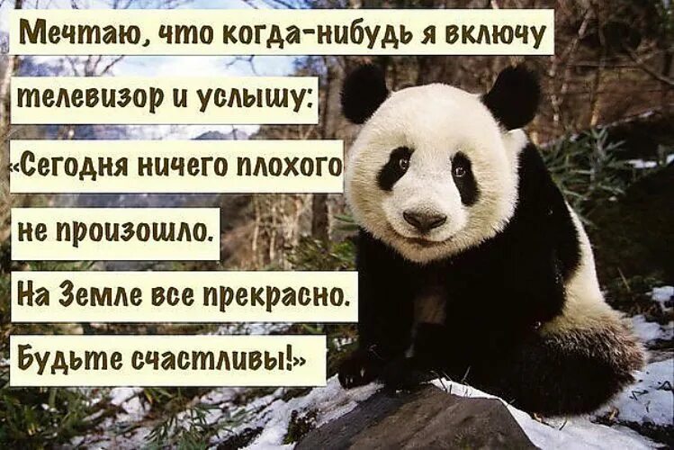 Сегодня ничего