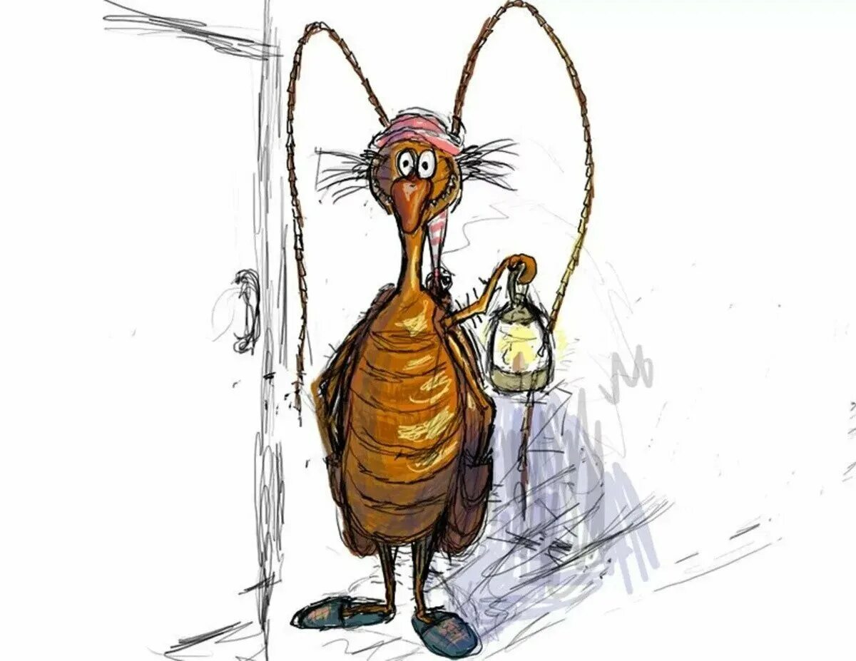 картинка про тараканов. тараканы прикольные картинки. приколы про тараканов в голове. картинка про тараканов. картинка про тараканов.