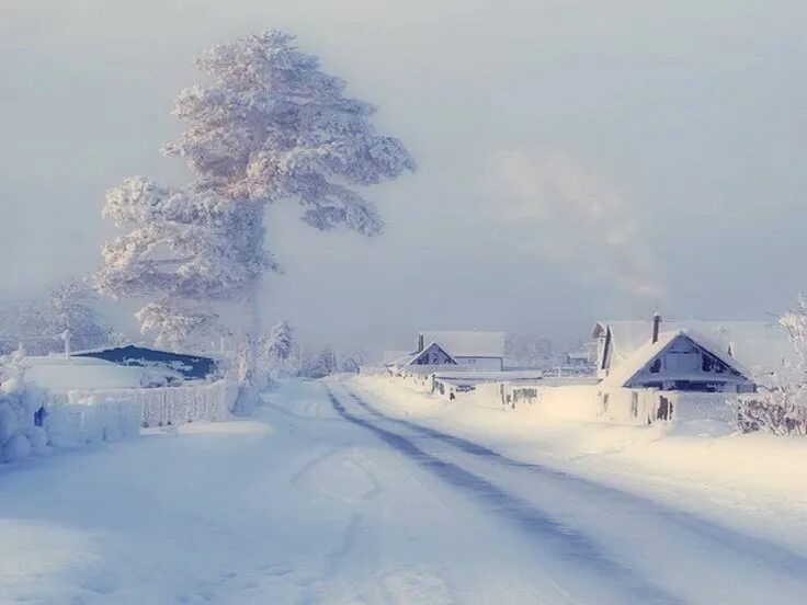 Movement on a site of roads Ogonki-Nevelsk is opened Economics Seldon News