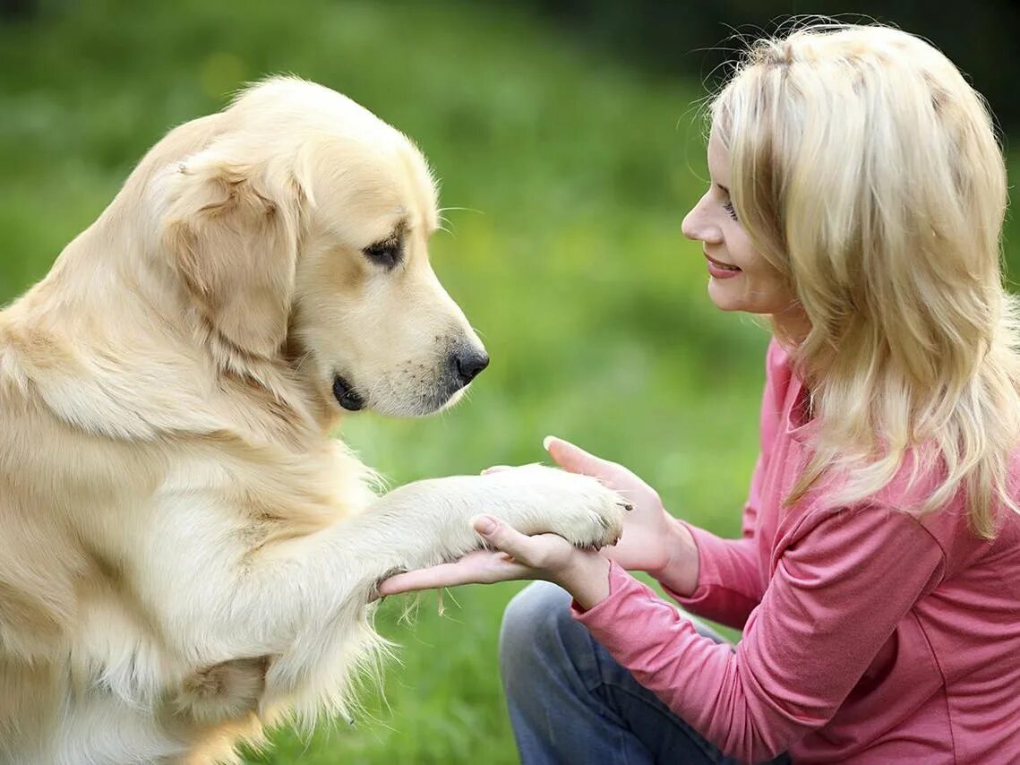 Хозяин собаки. Человек с собакой. Собака друг человека. Собака на руках. Собака дает лапу.