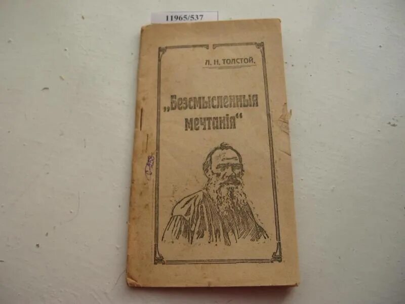 Мечтал о толстой. Бессмысленные мечтания толстой. Бессмысленные мечтания Лев толстой книга. Издательство н-л.