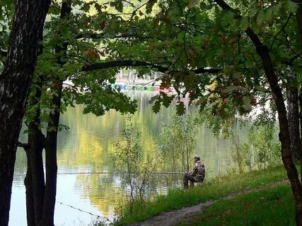 Утро пруд
