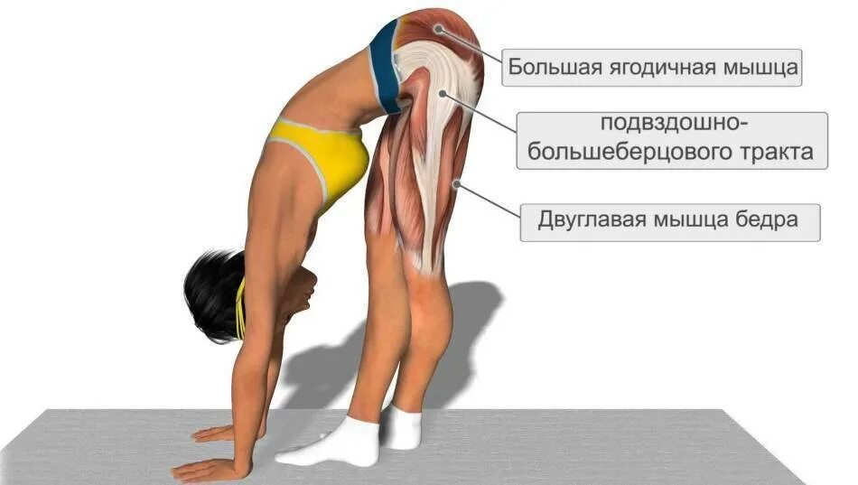 Почему после задней