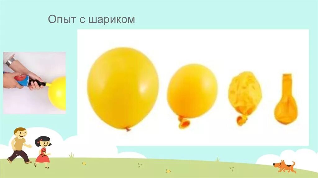 Как меняется шариков