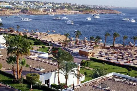 Pyramisa sharm el sheikh resort 5