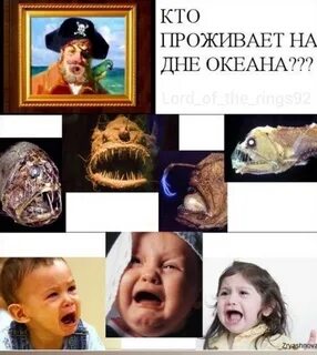 Кто проживает на самом маленьком материке