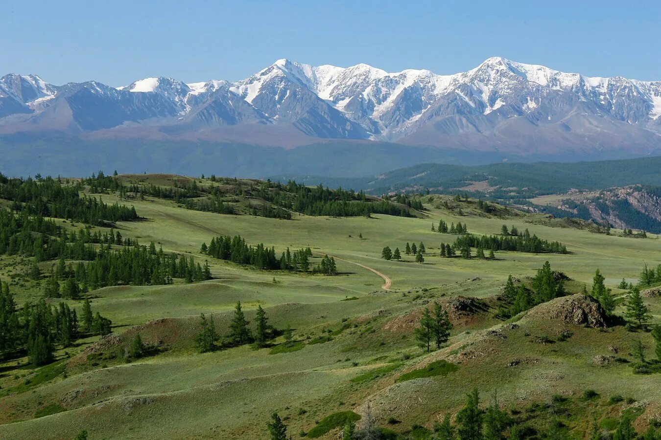 Курайская Долина горный Алтай. Курайский хребет Алтай. Республика Алтай Курайская степь. Северо Чуйский хребет село курай.