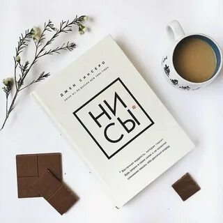 Ни сы книга