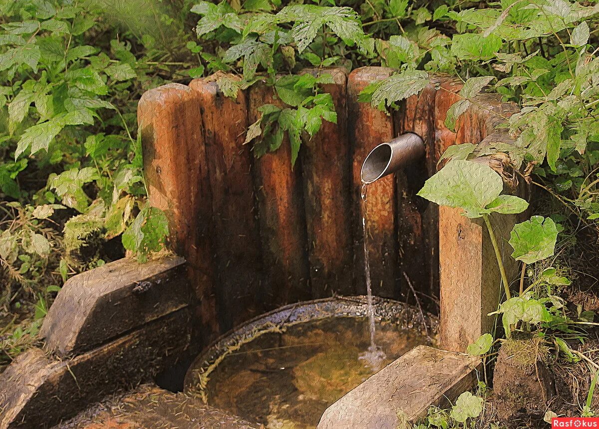 Родник источник воды. Родник "монастырский Колодезь". Источник воды. Колодец для воды. Родник источник.