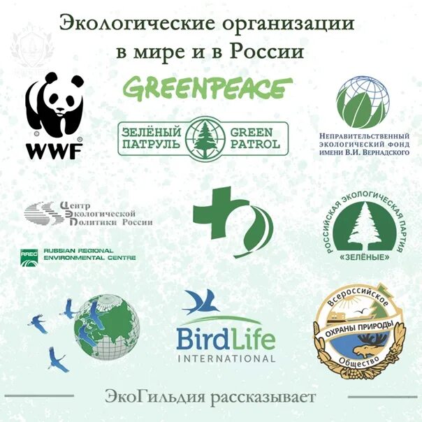 Как называется объединенный фонд