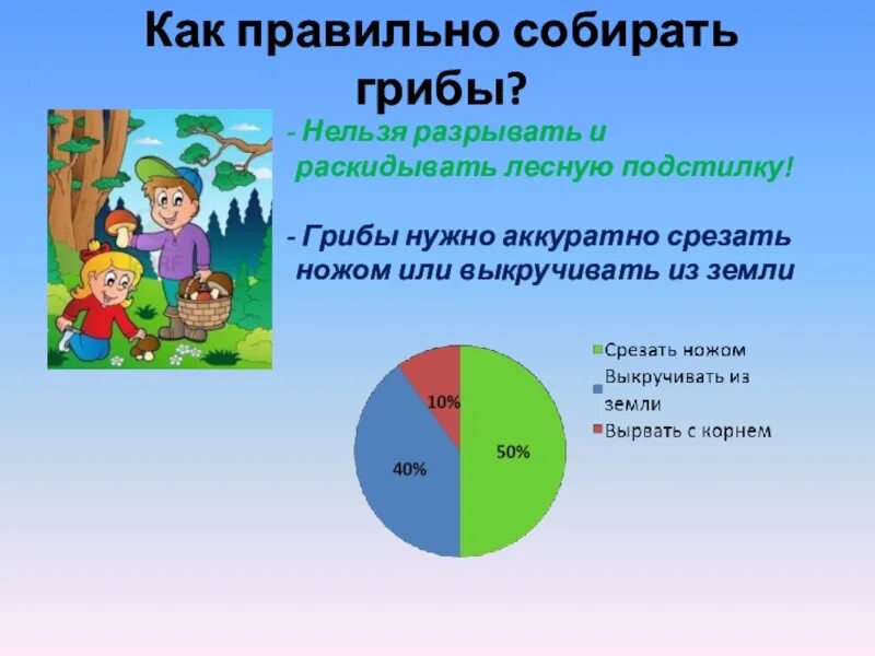 Как правильно собирать грибы. Как нужно собирать грибы правильно. Как правильно собирать грибы проект. Как правильно собирать грибы срезать.