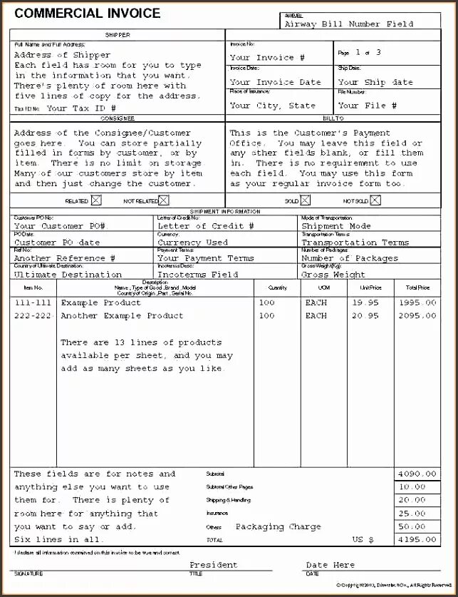 Can you fill in this form