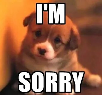 I m sorry so sorry worry