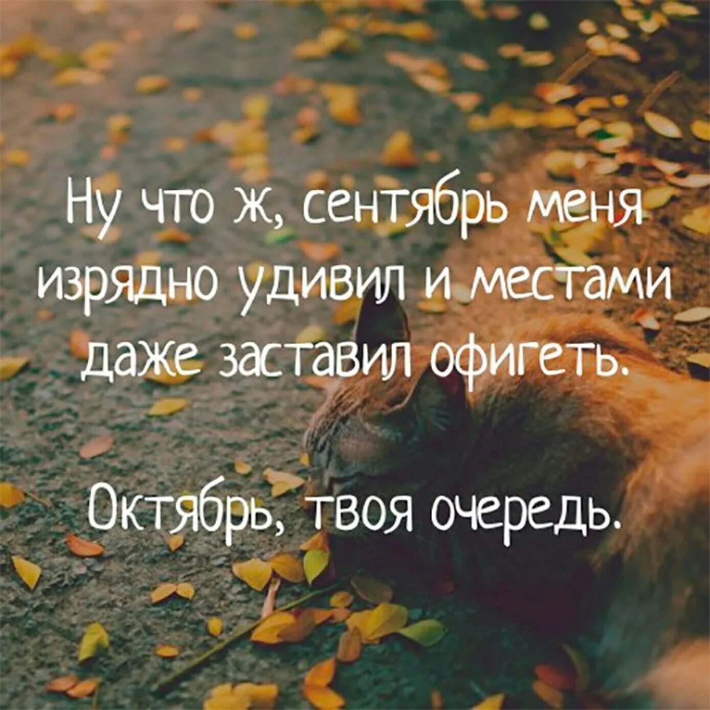 осенние уютные надписи. октябрь удивляет. анисимов гидрометцентр фото. октябрь удивляет. октябрь удивляет.