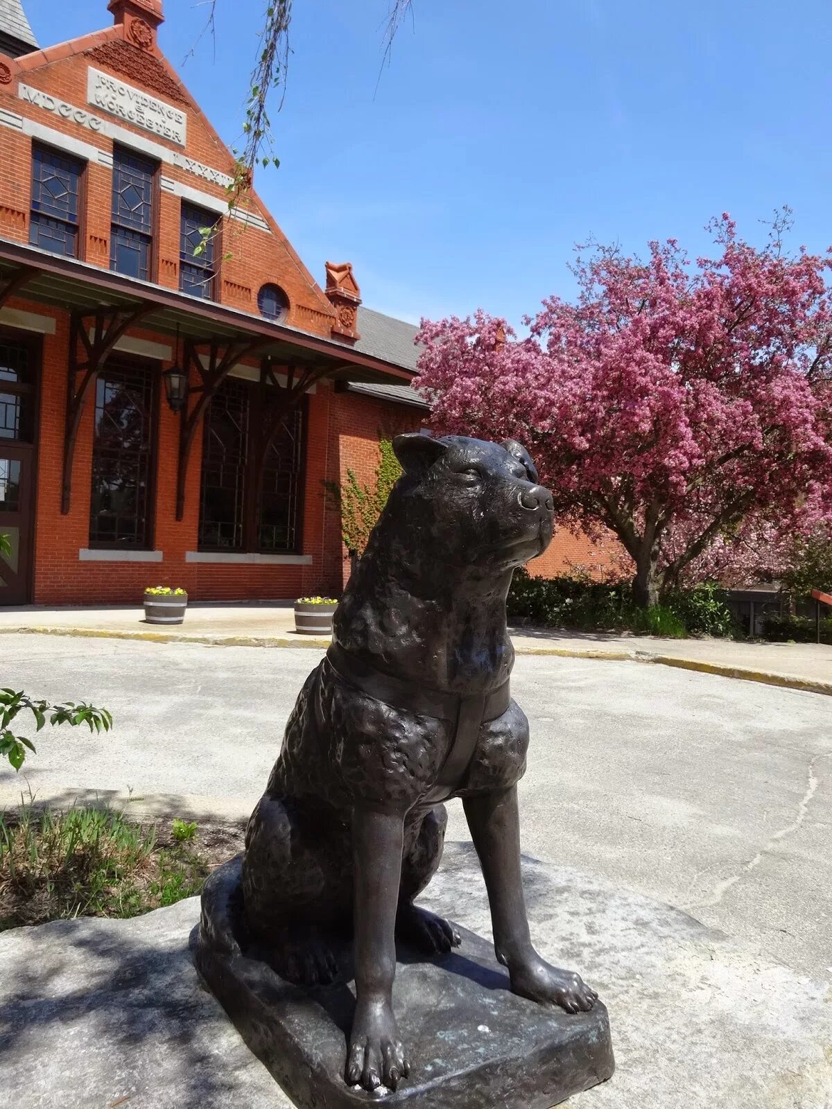 Работа хатико. Хатько. Хатико. Вунсокет Hachiko place. Хатико 1925.